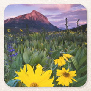 USA, Colorado, Mt. Crested Butte Square Paper Coaster