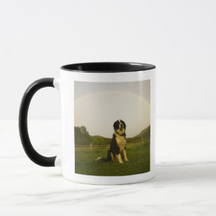 USA, Colorado, New Castle Mug