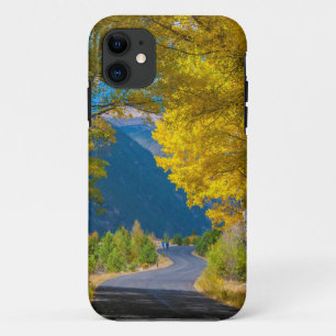 USA, Colorado. Road Flanked By Aspens iPhone 11 Case