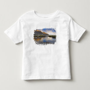 USA, Colorado, Rocky Mountain NP. Toddler T-Shirt