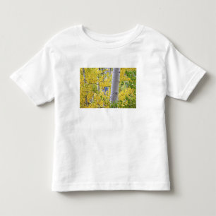 USA, Colorado, Rocky Mountains.  Intimate aspen 2 Toddler T-Shirt