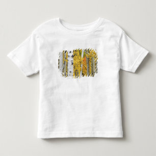 USA, Colorado, Rocky Mountains. Intimate aspen Toddler T-Shirt