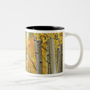 USA, Colorado, Rocky Mountains.  Intimate aspen Two-Tone Coffee Mug