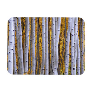 USA, Colorado, Rocky Mountains. Intimate scene Magnet