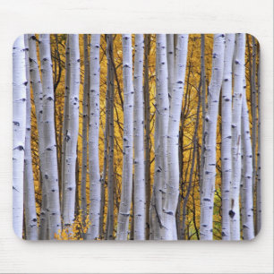 USA, Colorado, Rocky Mountains.  Intimate scene Mouse Mat