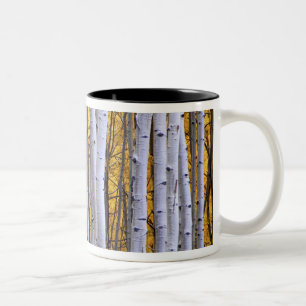 USA, Colorado, Rocky Mountains.  Intimate scene Two-Tone Coffee Mug