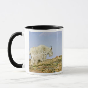 USA, Colorado, Rocky Mountains, Mount Evans, Mug