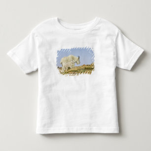 USA, Colorado, Rocky Mountains, Mount Evans, Toddler T-Shirt