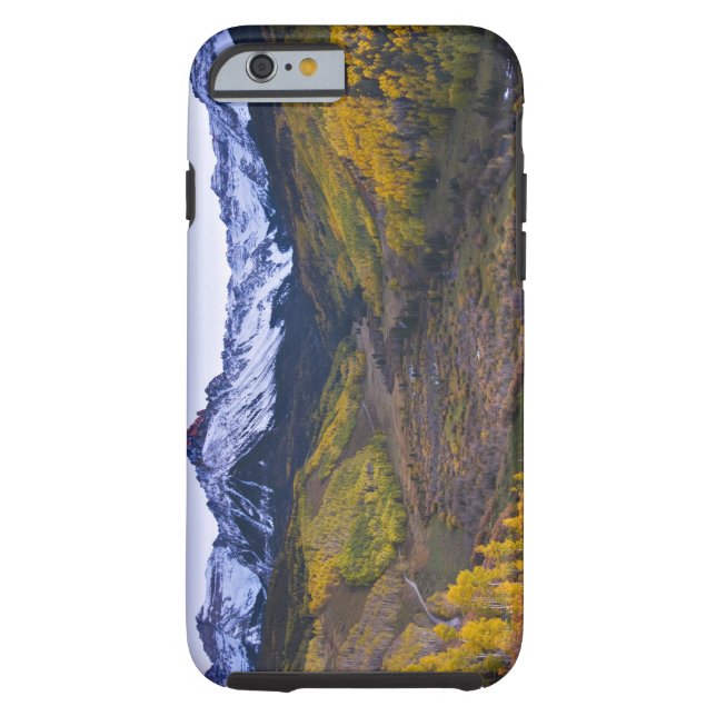 USA, Colorado, Rocky Mountains, San Juan Case-Mate iPhone Case (Back)