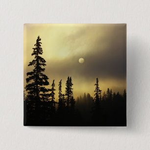 USA, Colorado, San Isabel National Forest. 15 Cm Square Badge