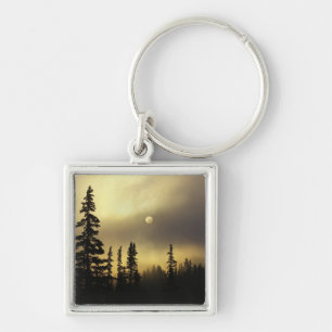 USA, Colorado, San Isabel National Forest. Key Ring