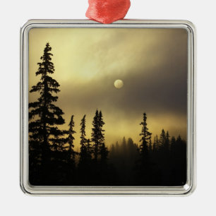USA, Colorado, San Isabel National Forest. Metal Tree Decoration