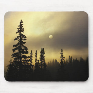 USA, Colorado, San Isabel National Forest. Mouse Mat