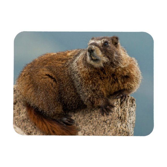 USA, Colorado, San Juan Mountains 2 Magnet (Horizontal)