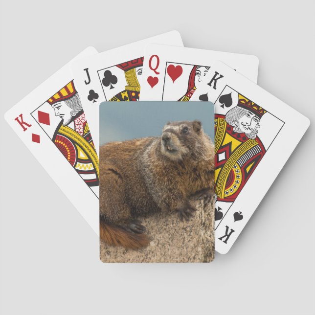 USA, Colorado, San Juan Mountains 2 Playing Cards (Back)