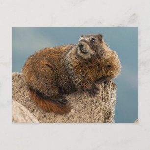 USA, Colorado, San Juan Mountains 2 Postcard