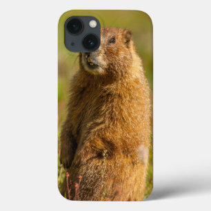 USA, Colorado, San Juan Mountains iPhone 13 Case