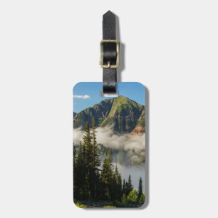 USA, Colorado, San Juan Mountains. Clearing Luggage Tag