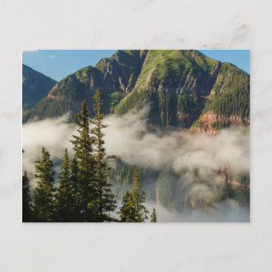 USA, Colorado, San Juan Mountains. Clearing Postcard