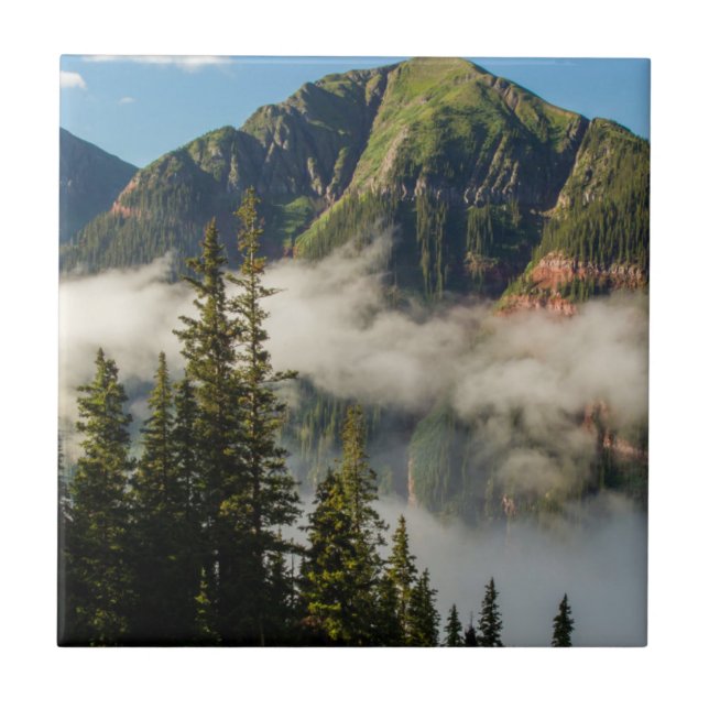 USA, Colorado, San Juan Mountains. Clearing Tile (Front)