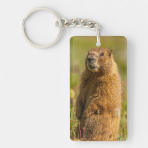 USA, Colorado, San Juan Mountains Key Ring