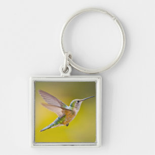 USA, Colorado, Summit County, Heeney. Side view Key Ring