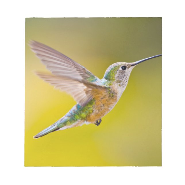 USA, Colorado, Summit County, Heeney. Side view Notepad (Front)