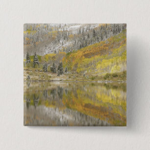 USA, Colorado, White River National Forest, 2 15 Cm Square Badge