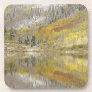USA, Colorado, White River National Forest, 2 Coaster