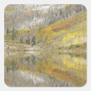 USA, Colorado, White River National Forest, 2 Square Sticker