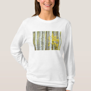USA, Colorado, White River National Forest, T-Shirt