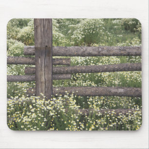 USA, Colorado, Wild Chamomile around log fence Mouse Mat