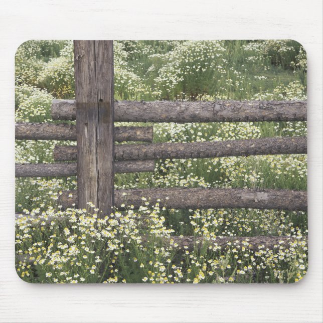 USA, Colorado, Wild Chamomile around log fence Mouse Mat (Front)