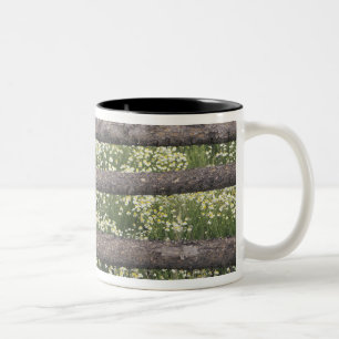 USA, Colorado, Wild Chamomile around log fence Two-Tone Coffee Mug