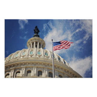 USA, Columbia, Washington DC, Capitol Building Poster