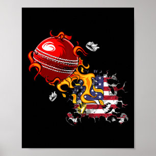 Usa Cricket Poster