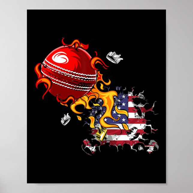 Usa Cricket  Poster (Front)