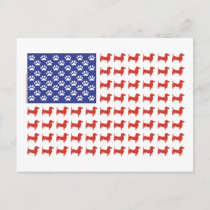 USA Dachshund Postcard