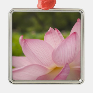 USA, DC, Washington, Kenilworth Aquatic 2 Metal Tree Decoration