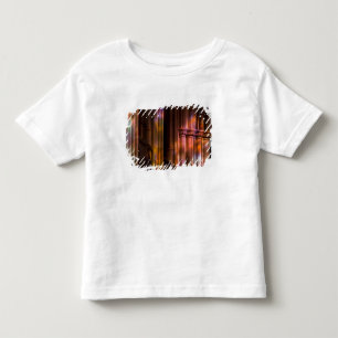 USA, DC, Washington, Washington National Toddler T-Shirt