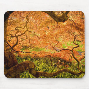 USA, Delaware, Wilmington. Japanese maple Mouse Mat