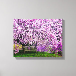 USA, Delaware, Wilmington. Wooden bench under Canvas Print