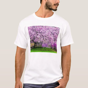USA, Delaware, Wilmington. Wooden bench under T-Shirt