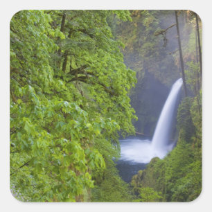 USA, Eagle Creek, Columbia Gorge, Oregon. 2 Square Sticker