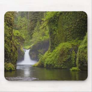 USA, Eagle Creek, Columbia Gorge, Oregon. 3 Mouse Mat