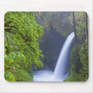 USA, Eagle Creek, Columbia Gorge, Oregon. Mouse Mat