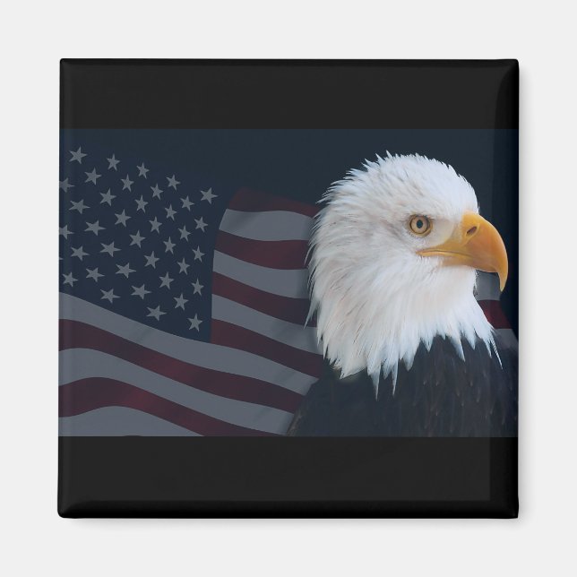Usa Eagle Magnet (Front)