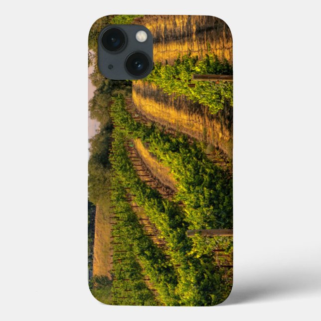 USA, Eastern Washington, Walla Walla Vineyards Case-Mate iPhone Case (Back)