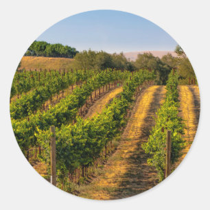 USA, Eastern Washington, Walla Walla Vineyards Classic Round Sticker