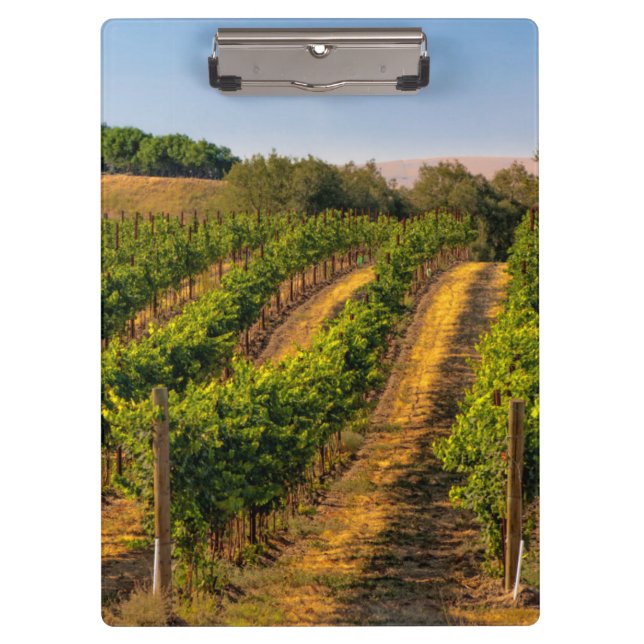 USA, Eastern Washington, Walla Walla Vineyards Clipboard (Front)